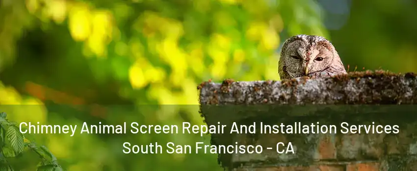 Chimney Animal Screen Repair And Installation Services South San Francisco - CA