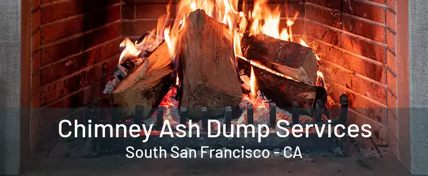 Chimney Ash Dump Services South San Francisco - CA