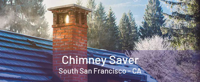 Chimney Saver South San Francisco - CA