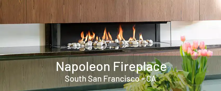 Napoleon Fireplace South San Francisco - CA